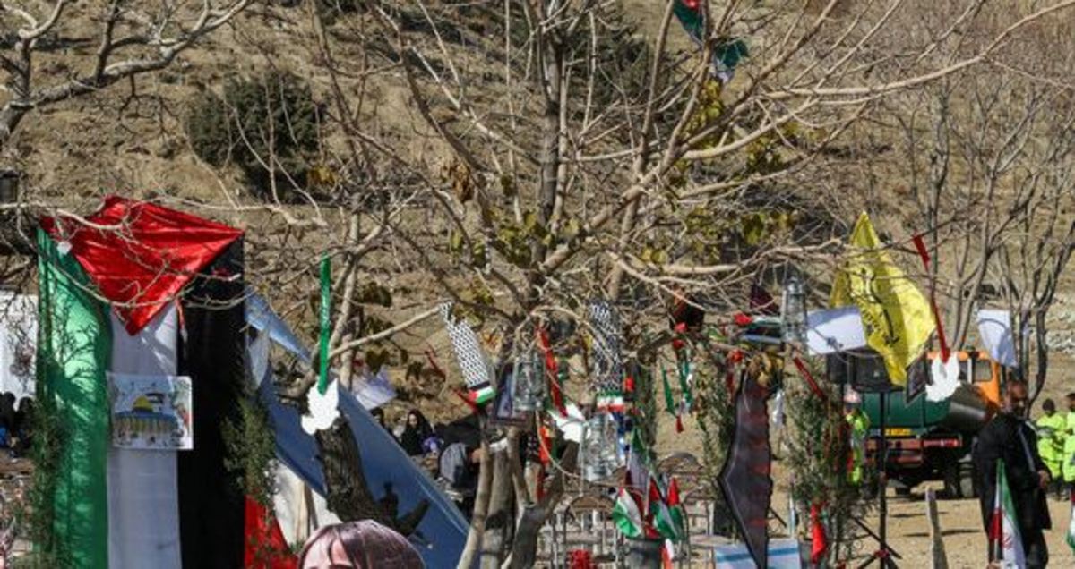 کاشت ۵۰۰۰ نهال به یاد زنان و کودکان شهید غزه