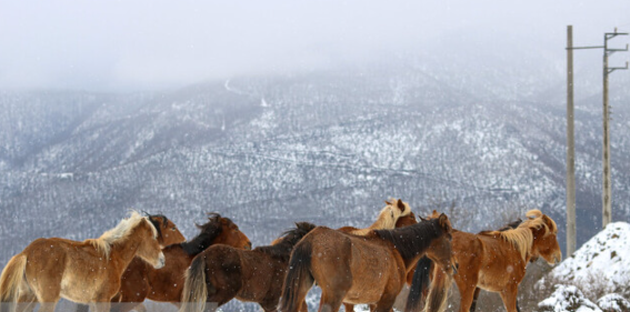کوه‌ها؛ برج‌های تامین‌کننده آب طبیعی