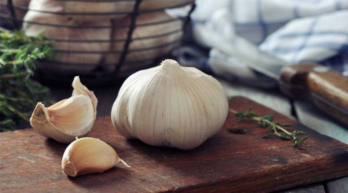 سیر معجزه‌ای برای افزایش سرعت سوخت و ساز و کاهش سریع چربی‌ها