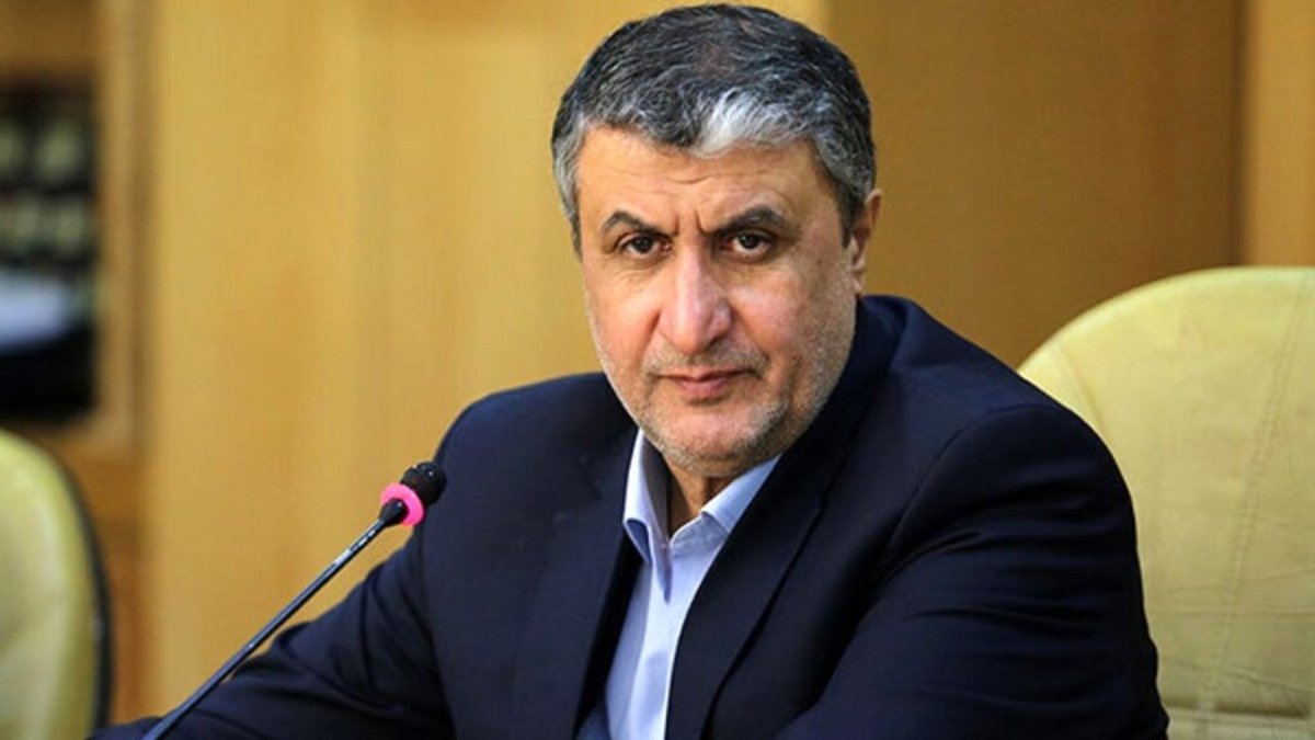 اظهارات معاون رییس جمهور و رییس سازمان انرژی اتمی در راستای بازرسی از نیروی هسته‌ای کشور