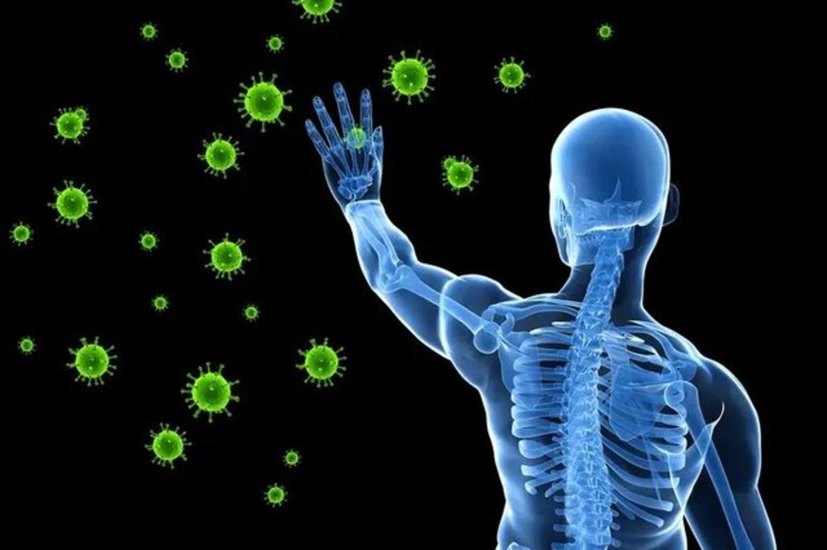 سیستم ایمنی بدن چگونه عمل می‌کند؟