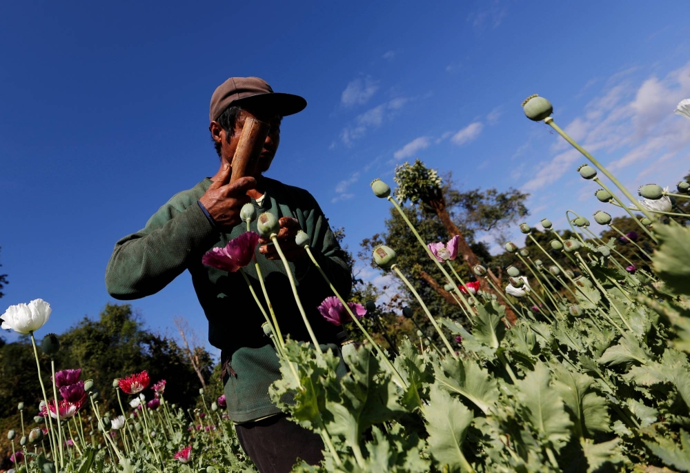 میانمار جایگاه افغانستان در تولید تریاک را تصاحب کرد