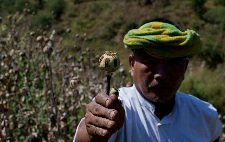 میانمار جایگاه افغانستان در تولید تریاک را تصاحب کرد