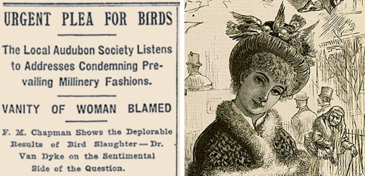 سم‌ترین مد‌های عصر ویکتوریا؛ از رنگ لباس با آرسنیک تا کلاه‌هایی با پرنده تاکسیدرمی شده