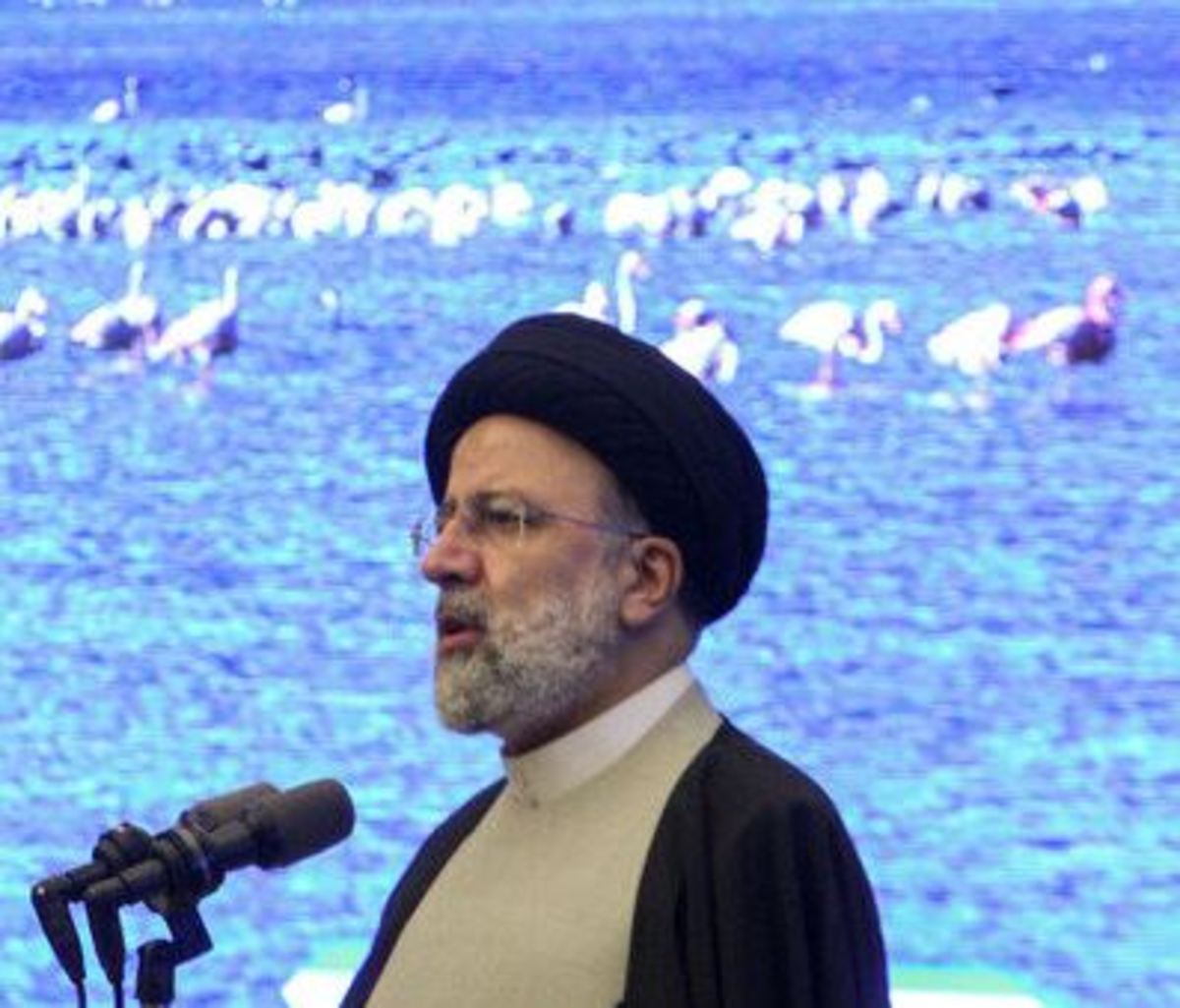 خزر پناهگاه حیات وحش دنیا