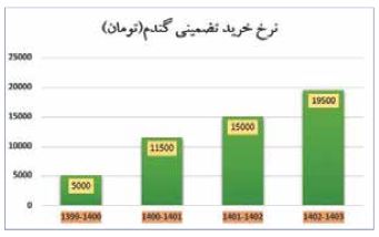 خودکفایی گندم با افزایش ۲۹۰ درصدی نرخ خرید تضمینی