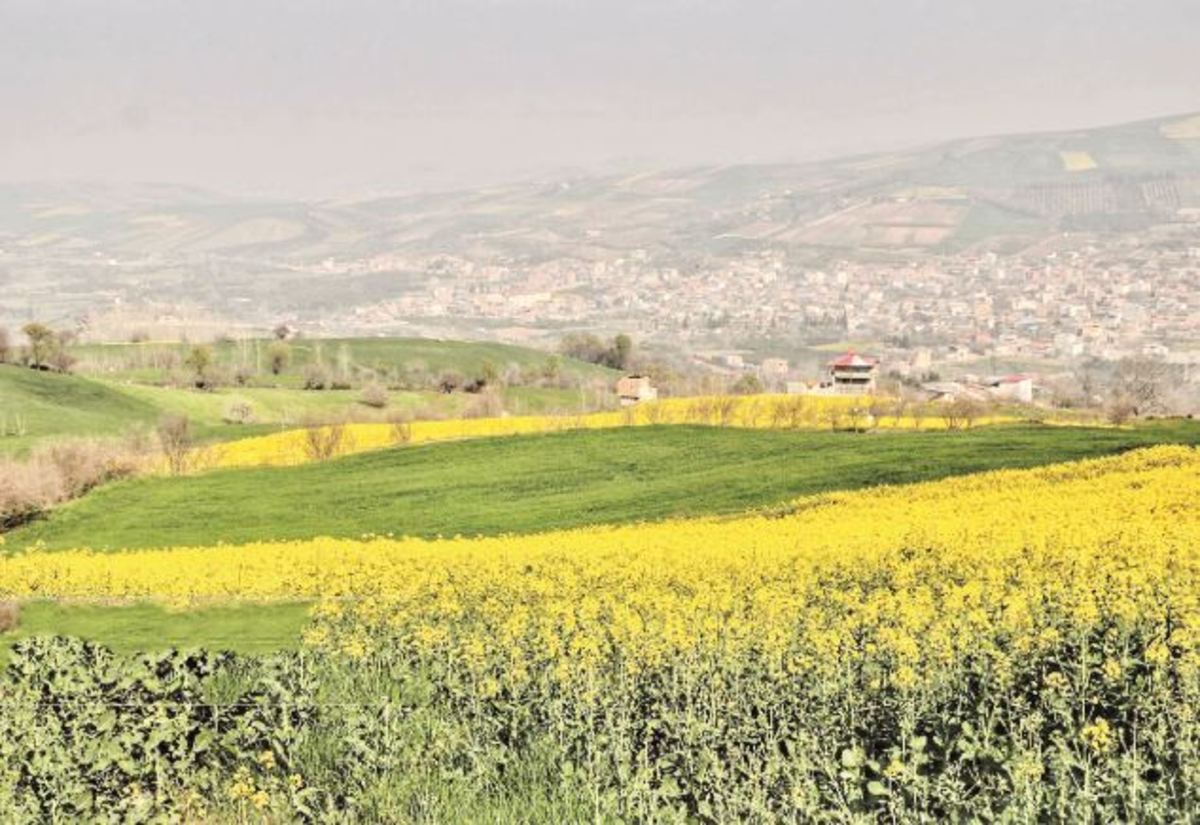 راهبرد سبزینگی روستا‌ها