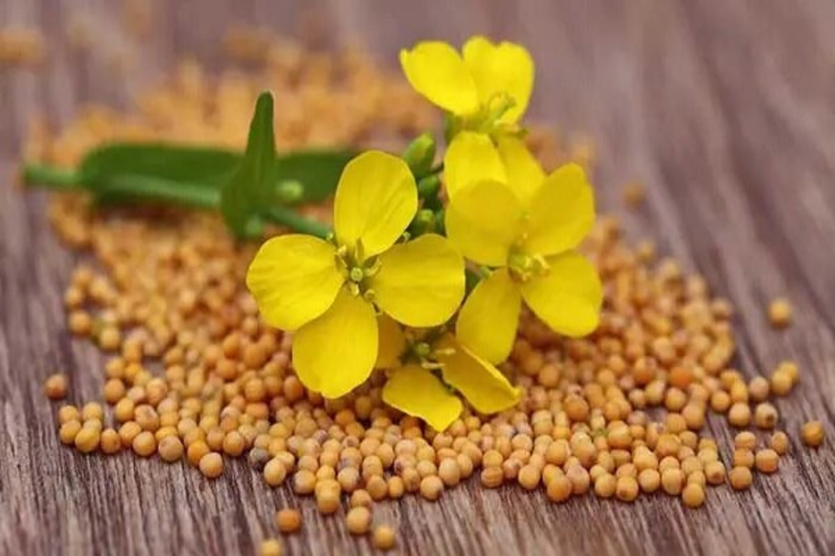 چرا لیتیوم برای بدن ضروری است؟