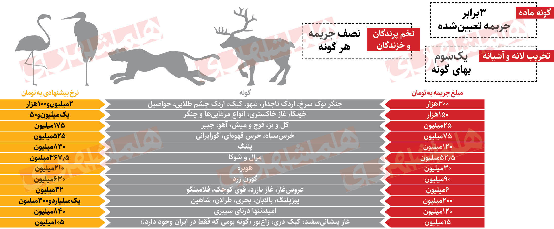 جریمه شکار یوزپلنگ: ۱/۴ میلیارد تومان