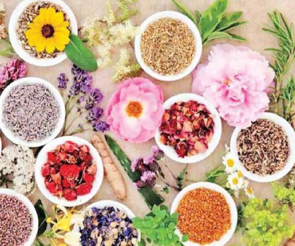 گردش مالی ۱.۵ میلیارد دلاری گیاهان دارویی ایران