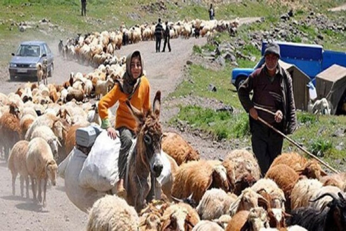 مشکل کوچ عشایر کرمانشاه به مراتع استان خوزستان رفع شده است