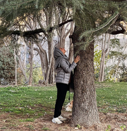 شهره سلطانی از آدم‌ها خسته شد و با درخت عکس عاشقانه‌ای گرفت
