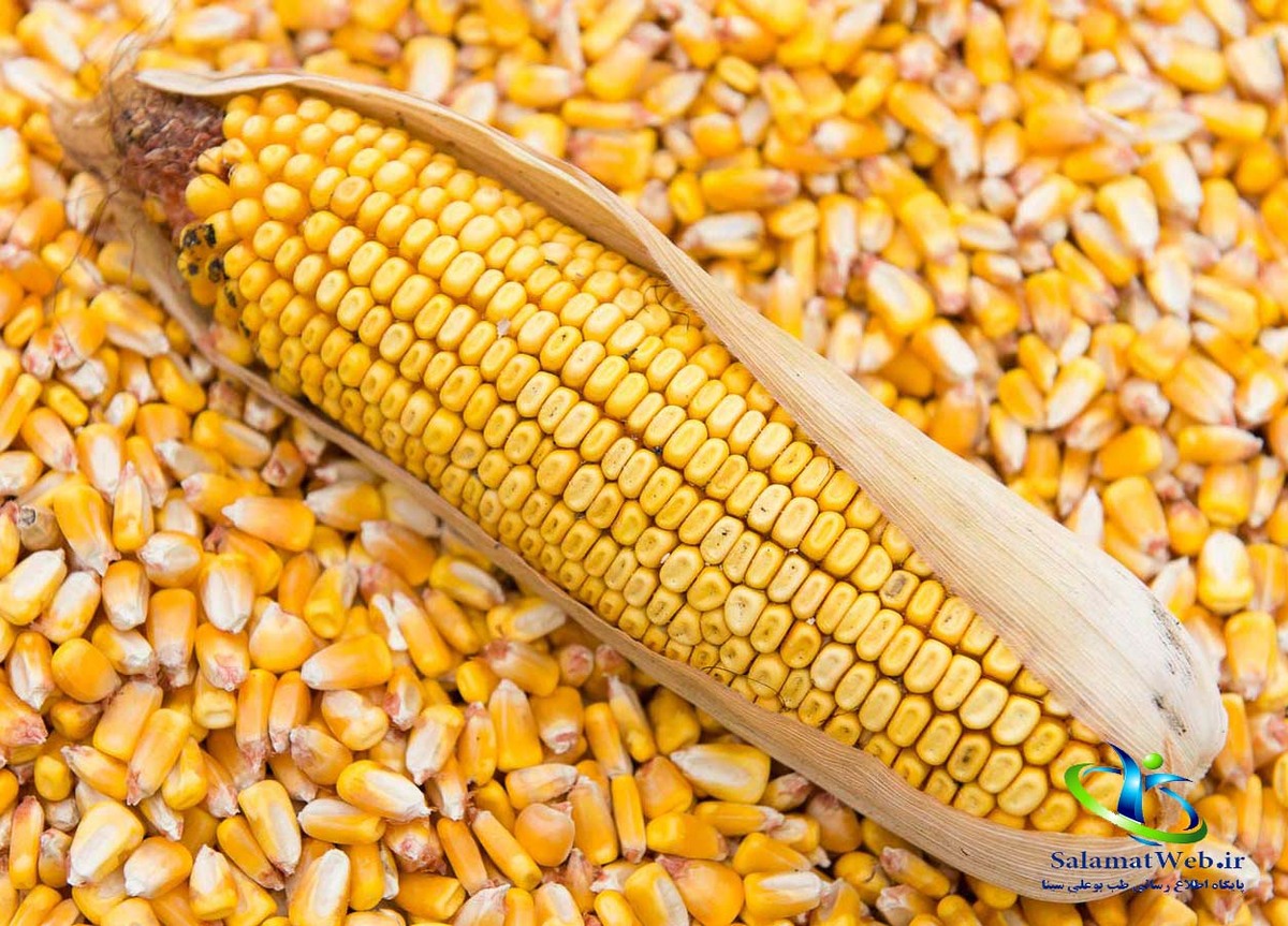 کاربرد درمانی ذرت جدای از خوشمزگی!