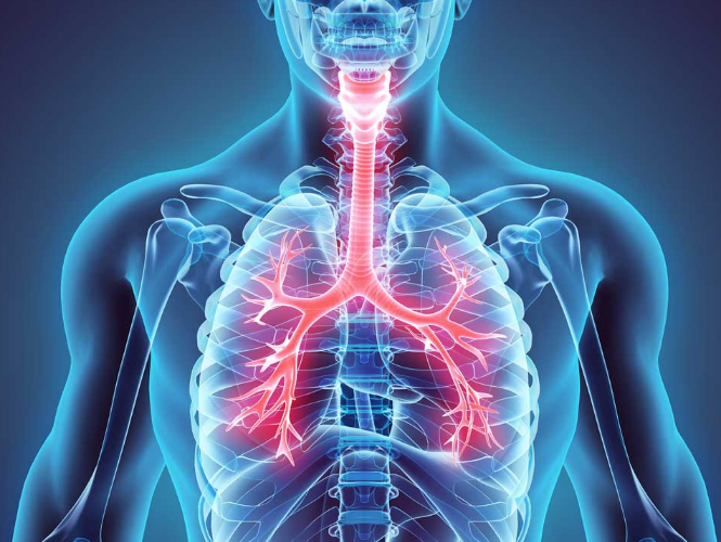 تنفس دیافراگمی چیست؟