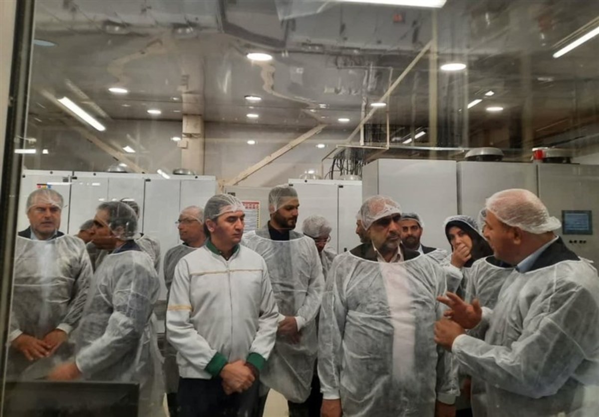 بازدید وزیر جهاد کشاورزی از روند احداث بزرگ‌ترین کشتارگاه استان تهران