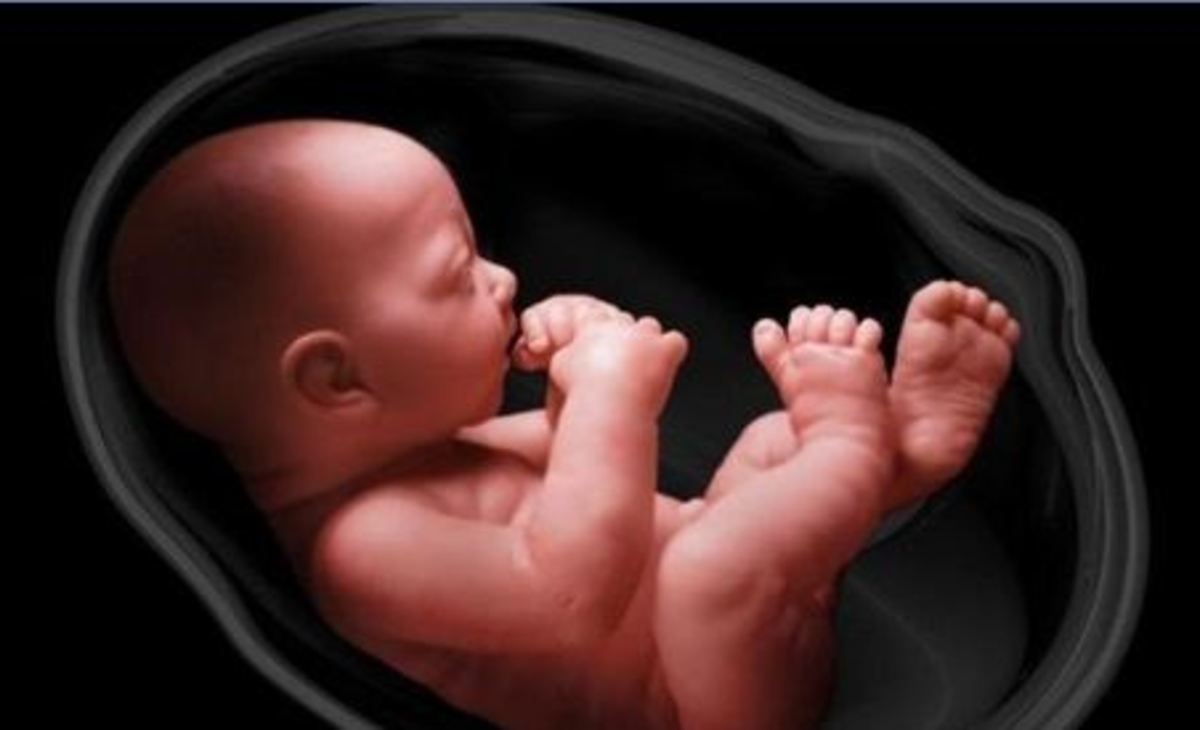 چند راهکار ساده و بی دردسر برای جلوگیری از بارداری