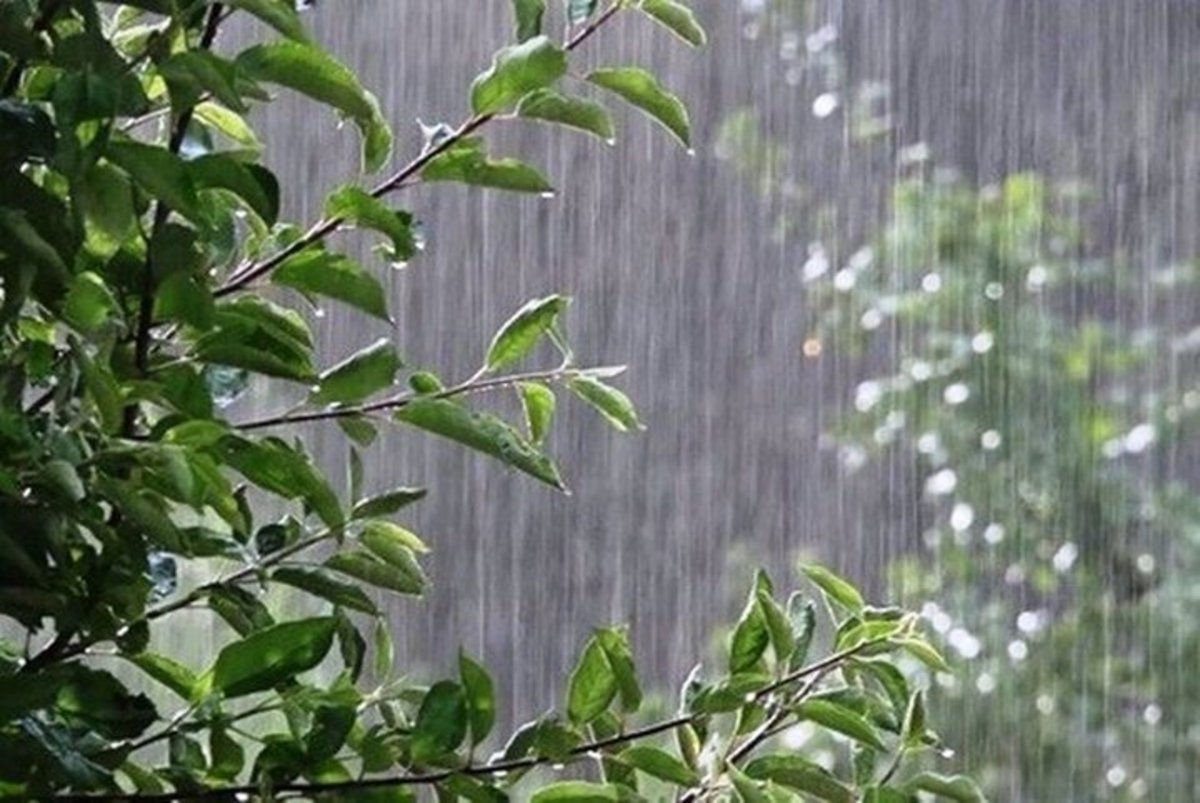 مسجدسلیمان، پربارش‌ترین شهر خوزستان