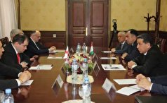 توسعه همکاری‌های پارلمانی محور دیدار مقامات تاجیکستان و گرجستان