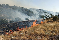 علت آتش‌سوزی منابع طبیعی راین چه بود؟