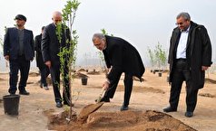 ۳.۵ میلیون اصله درخت در ۳ سال به تهران اضافه شده است
