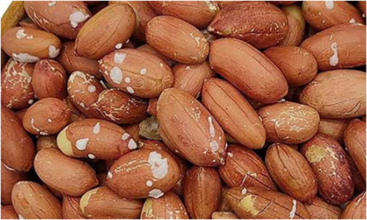 با این میوه‌ها کبد چرب را درمان کنید