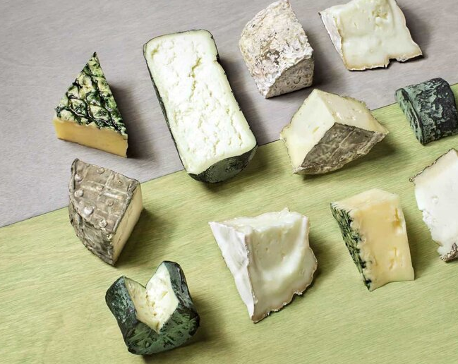 چگونه از خراب شدن پنیر جلوگیری کنیم؟