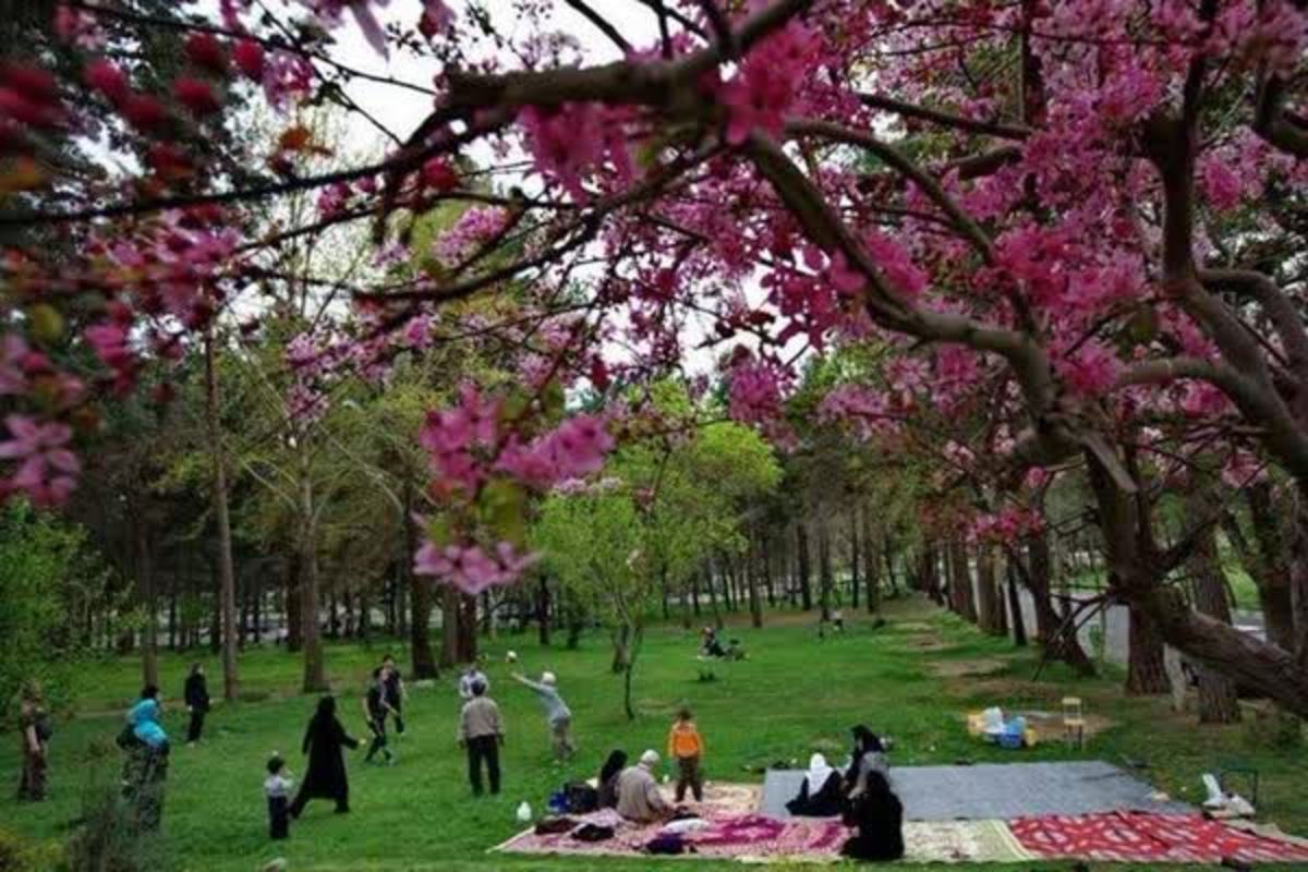 کار‌هایی که نباید در روز طبیعت انجام دهیم