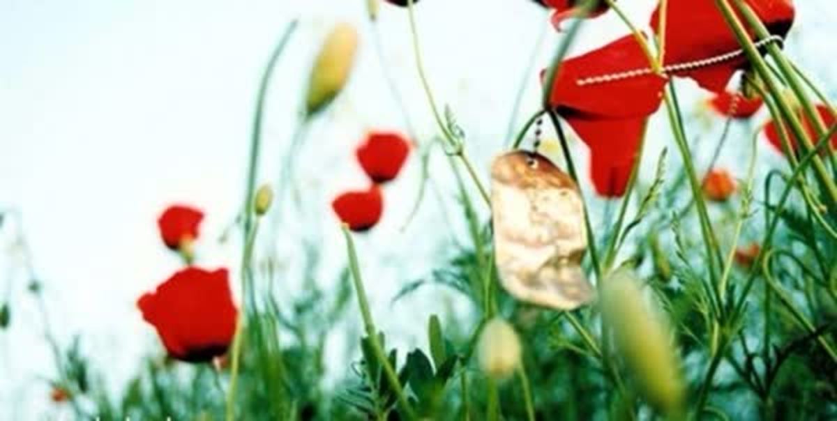 شهید نقی قنبری نسب: برای خدا کار کنید