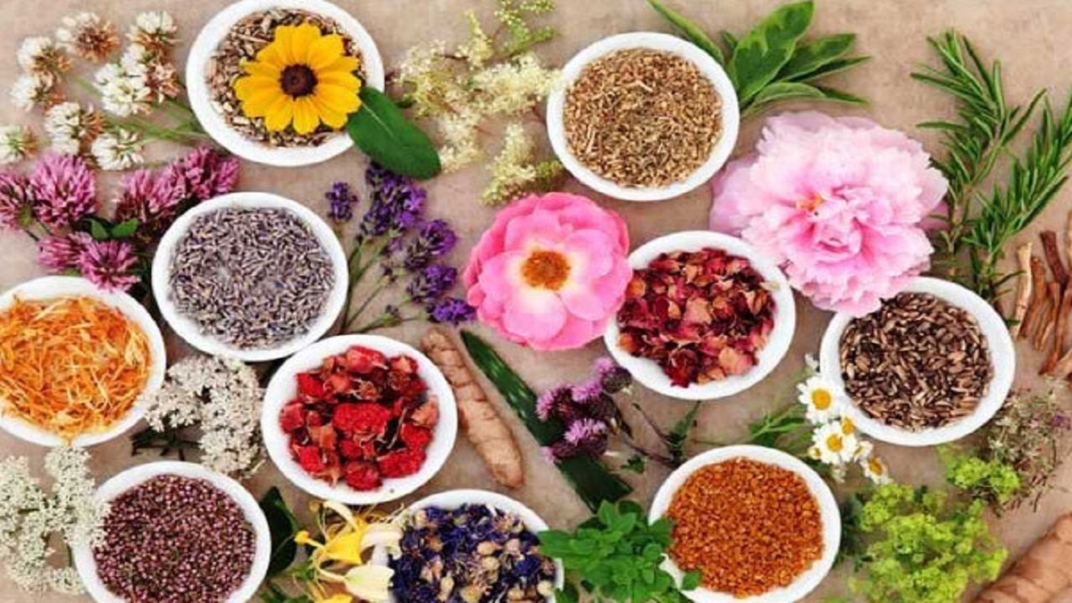 سطح زیرکشت دیم گیاهان دارویی به ۴۰ هزارهکتار رسید