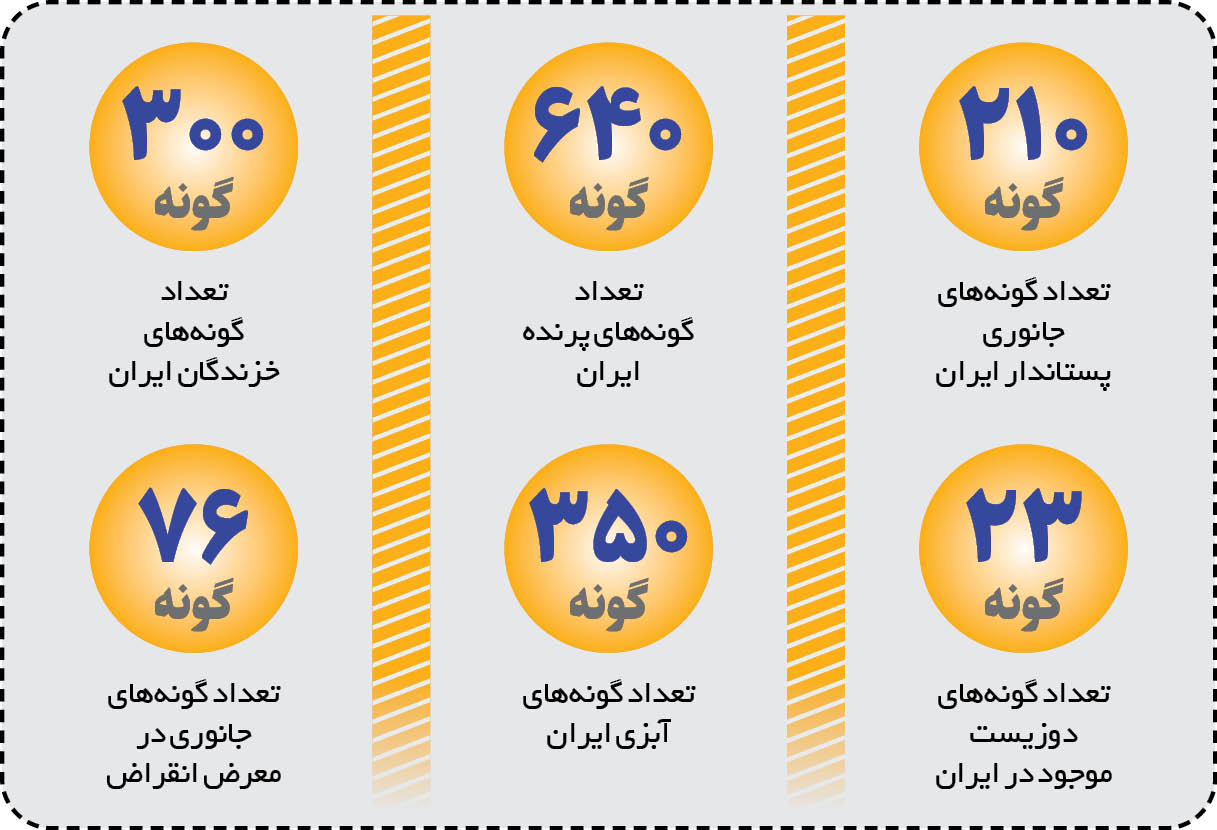 ایران «یوزپلنگ» تولید می‌کند