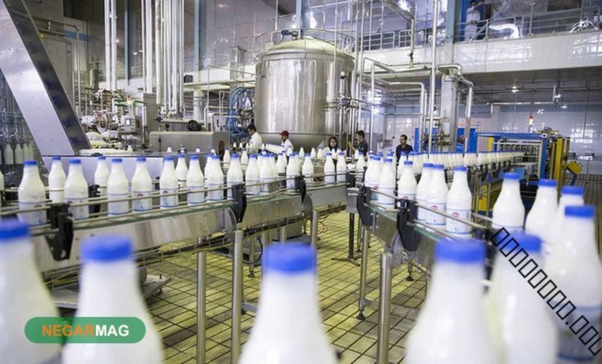 توسعه زنجیره تولید صنایع لبنی از راهکار‌های رشد اقتصادی همدان