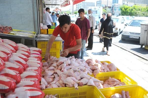 مرغ را با چه ترفندی گران می‌فروشند؟