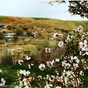 «لیلاخ» کردستان؛ از دشت‌های پرگل تا سنت‌های کهن