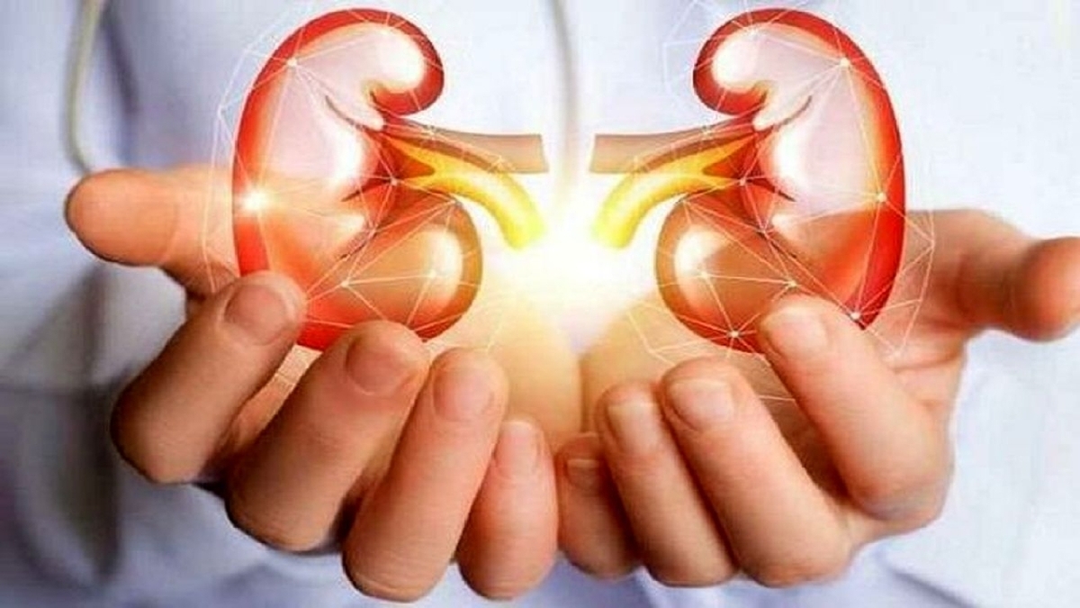 سرما چه تاثیری بر عملکرد کلیه دارد؟