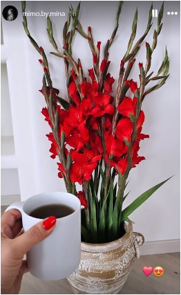 گوشه‌ای از دکوراسیون جذاب و حال خوب کن خانه بهرام رادان و همسرش/ خانوم آدم طراح باشه نتیجه میشه این+عکس