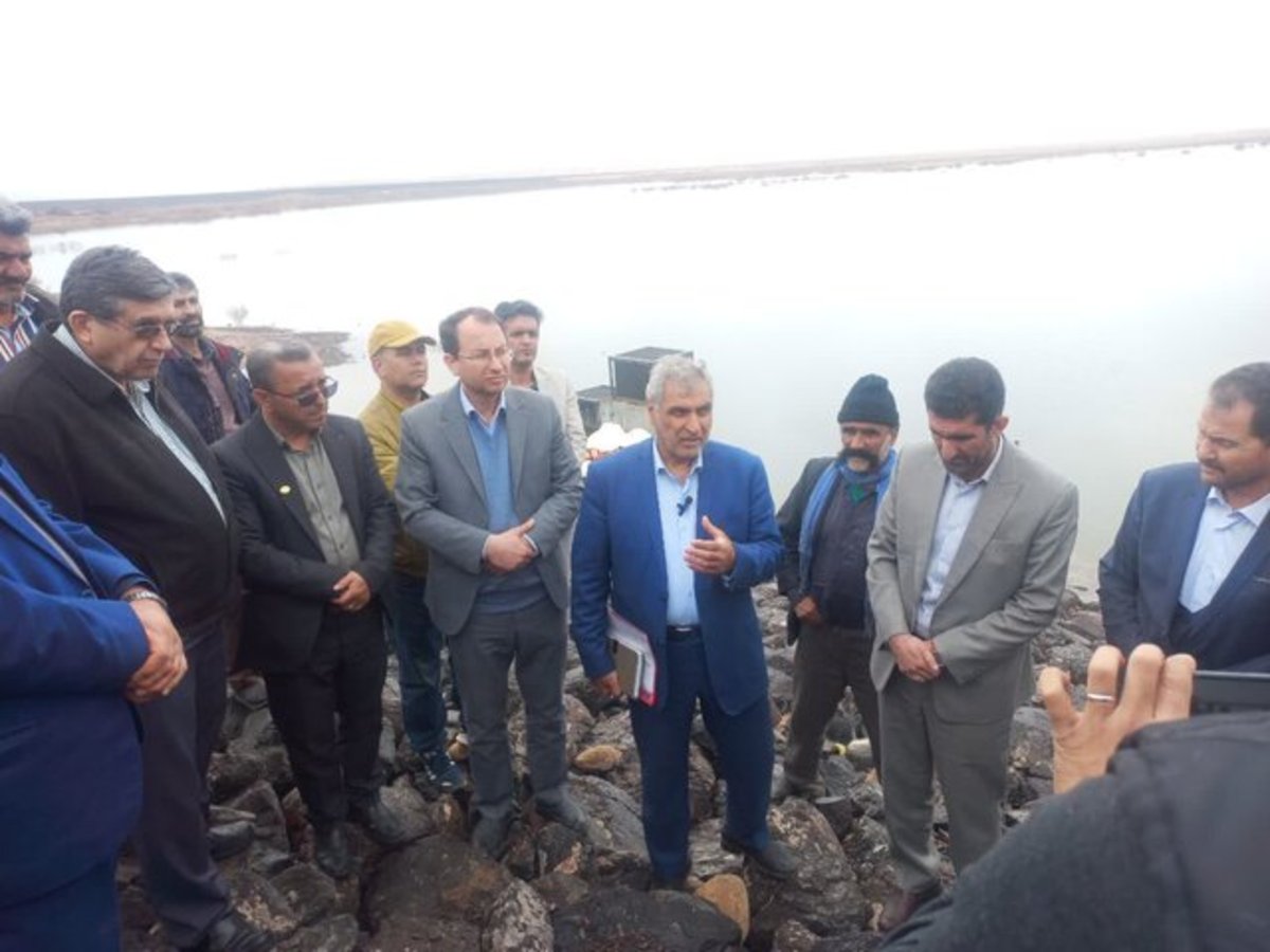 برنامه‌ریزی برای توزیع ۳۰۰ هزار تن نهاده دامی میان عشایر در سال جاری