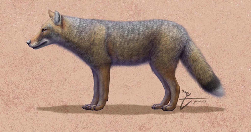 ارتباط نزدیک انسان‌ها و روباه‌ها در گذشته برای بقا