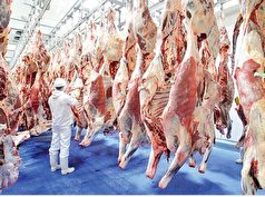 عرضه گسترده گوشت قرمز منجر به کاهش قیمت آن در بازار می‌شود