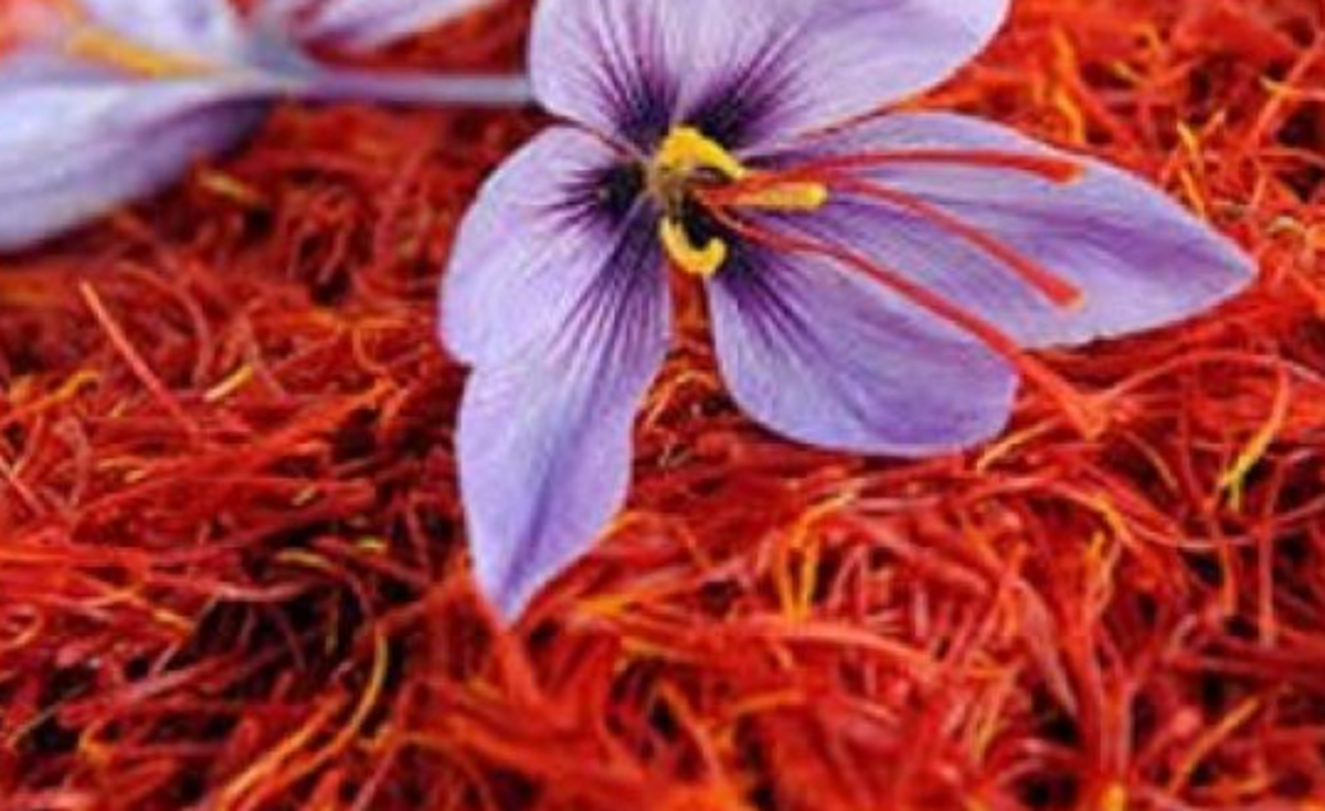کسب تندرستی و پیشگیری از بیماری‌های مرتبط با چاقی با مصرف مکمل زعفران