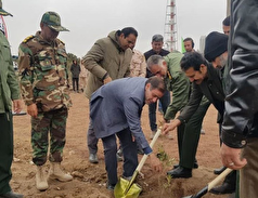 تاکید وزیر جهاد کشاورزی بر اجرای کاشت یک میلیارد درخت