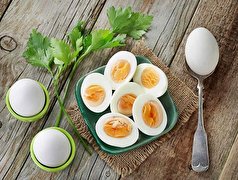 کاهش وزن در کوتاه مدت با رژیم غذایی تخم مرغ آب پز