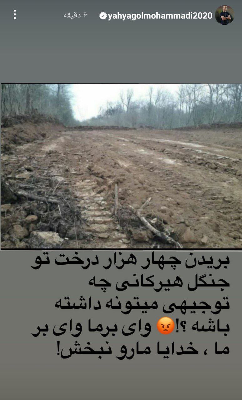 واکنش سرمربی سابق پرسپولیس به بریدن چهار هزار درخت در جنگل هیرکانی