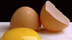 آیا خوردن تخم مرغ خام از نظر شرعی کراهت دارد؟