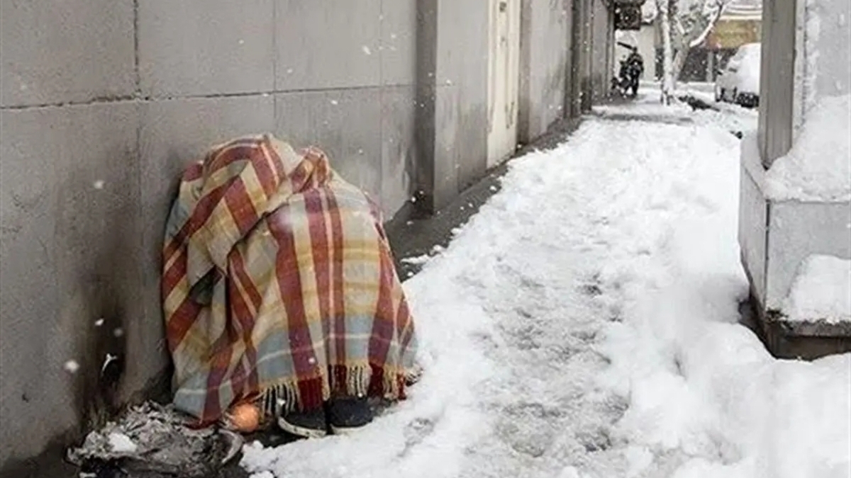 سرپناهی به وسعت یک قلب