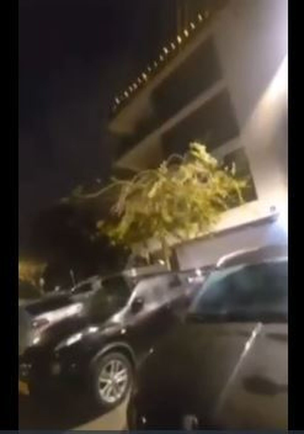 ویدئو| ده‌ها تن در اسرائیل پس از فرود مستقیم موشک حوثی‌ها در مرکز تل آویو زخمی شدند