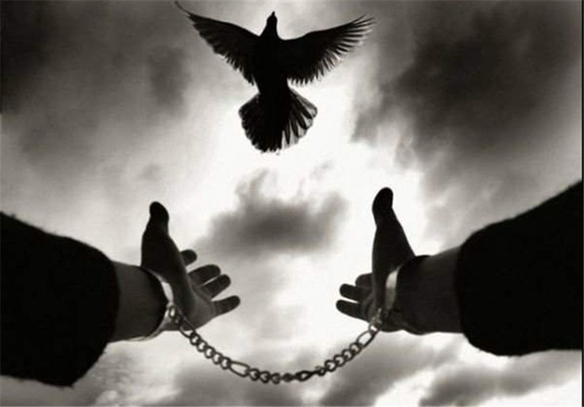 رهایی یک محکوم به قصاص پس از تحمل ۹ سال حبس