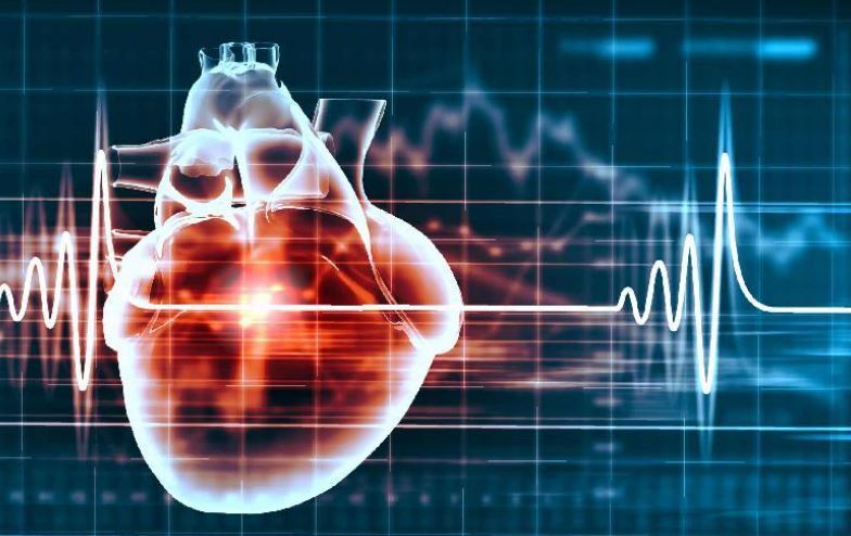ضربان قلب خطرناک چقدر است؟ چه زمانی به پزشک مراجعه کنیم؟
