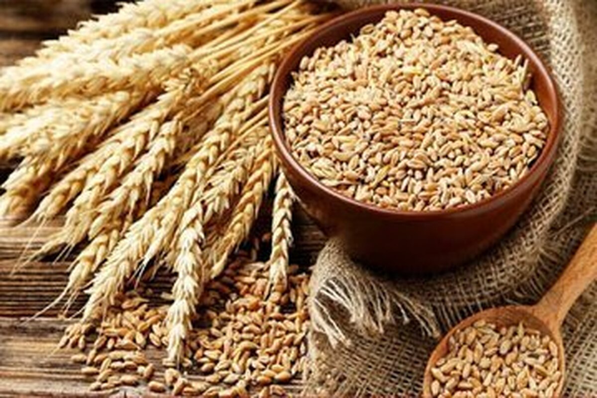 پرداخت ۶۰ میلیارد ریال زکات از اول امسال تا پایان آذرماه توسط مردم جزیره قشم