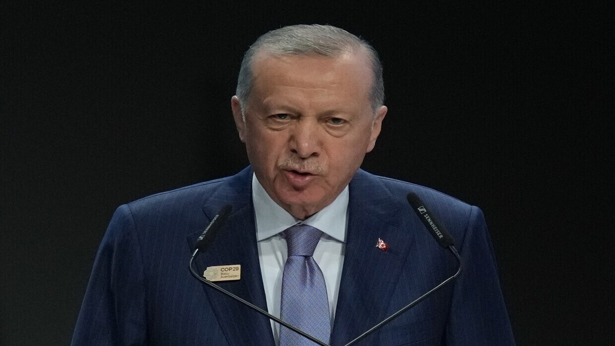اردوغان: ما با مقامات دولت جدید در دمشق در ارتباط هستیم و سوری‌ها خودشان در مورد آینده خود تصمیم خواهند گرفت