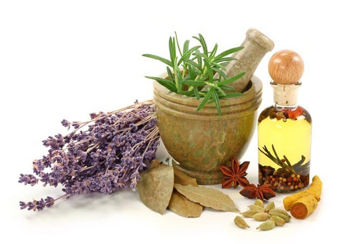 پیشینه گیاهان دارویی در درمان بیماری ها!